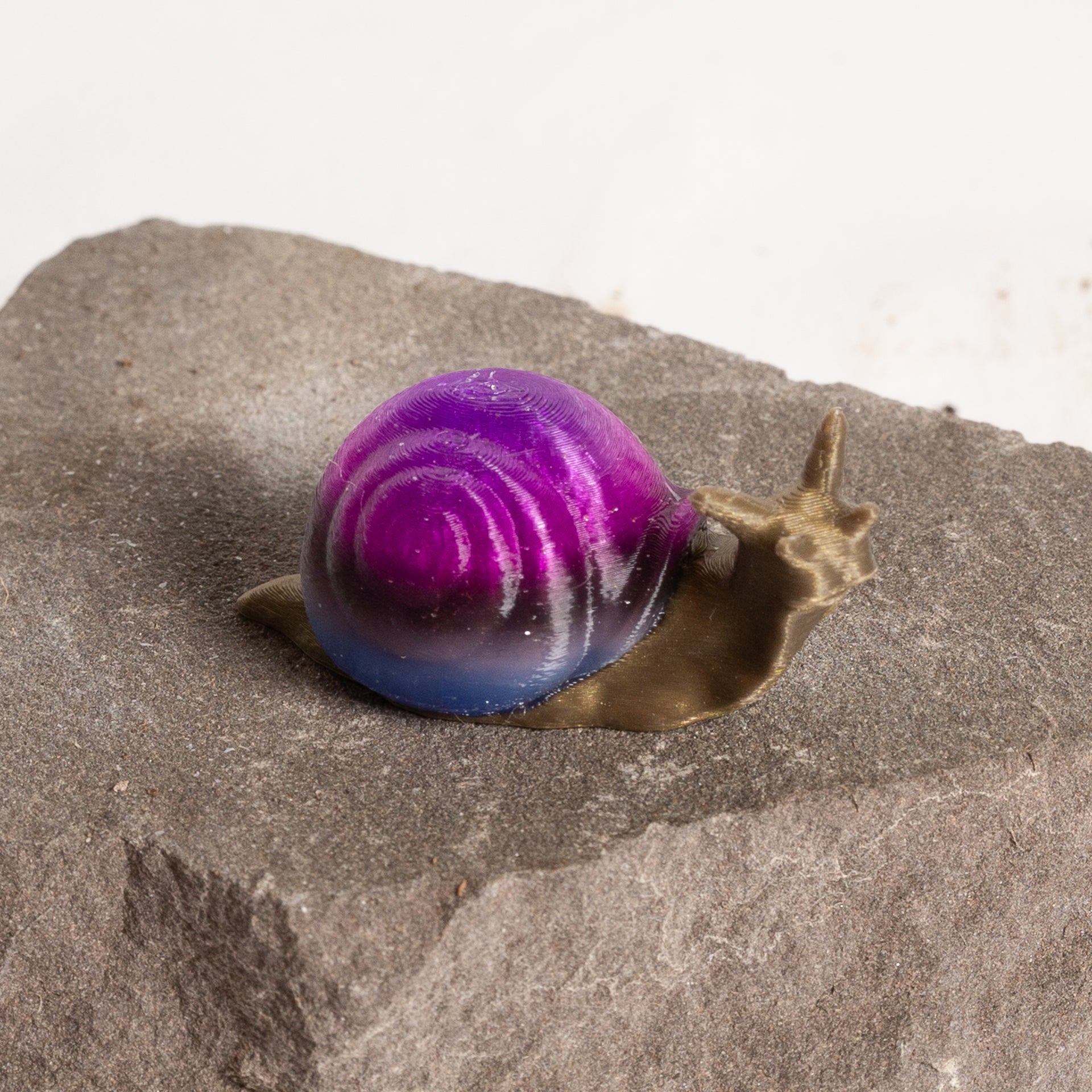 Galaxy Snail - Urban Sprouts