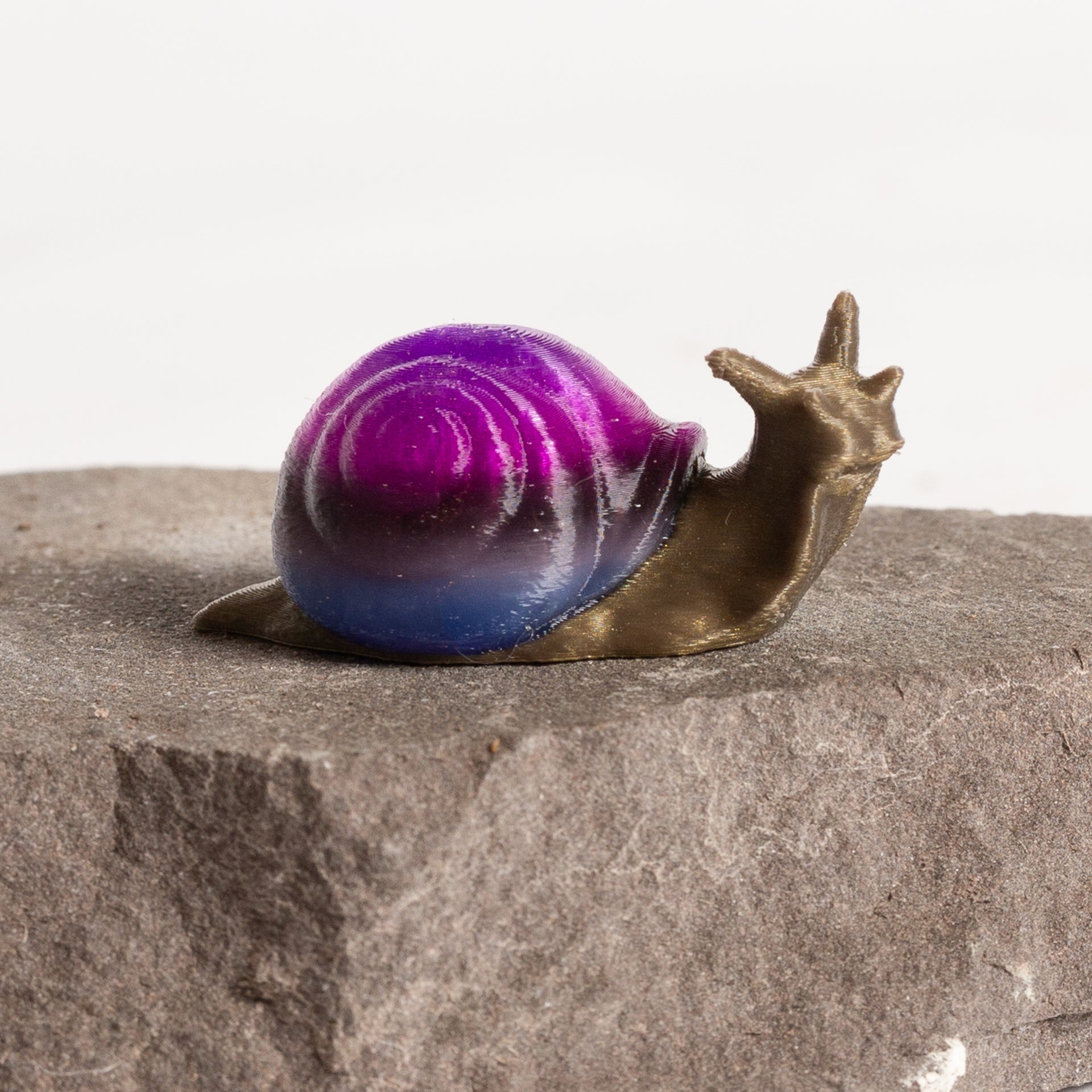 Galaxy Snail - Urban Sprouts