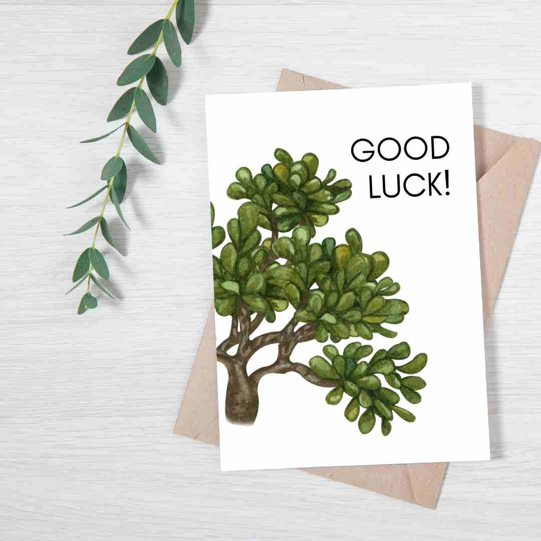 Good Luck Jade - Blank Greeting Card