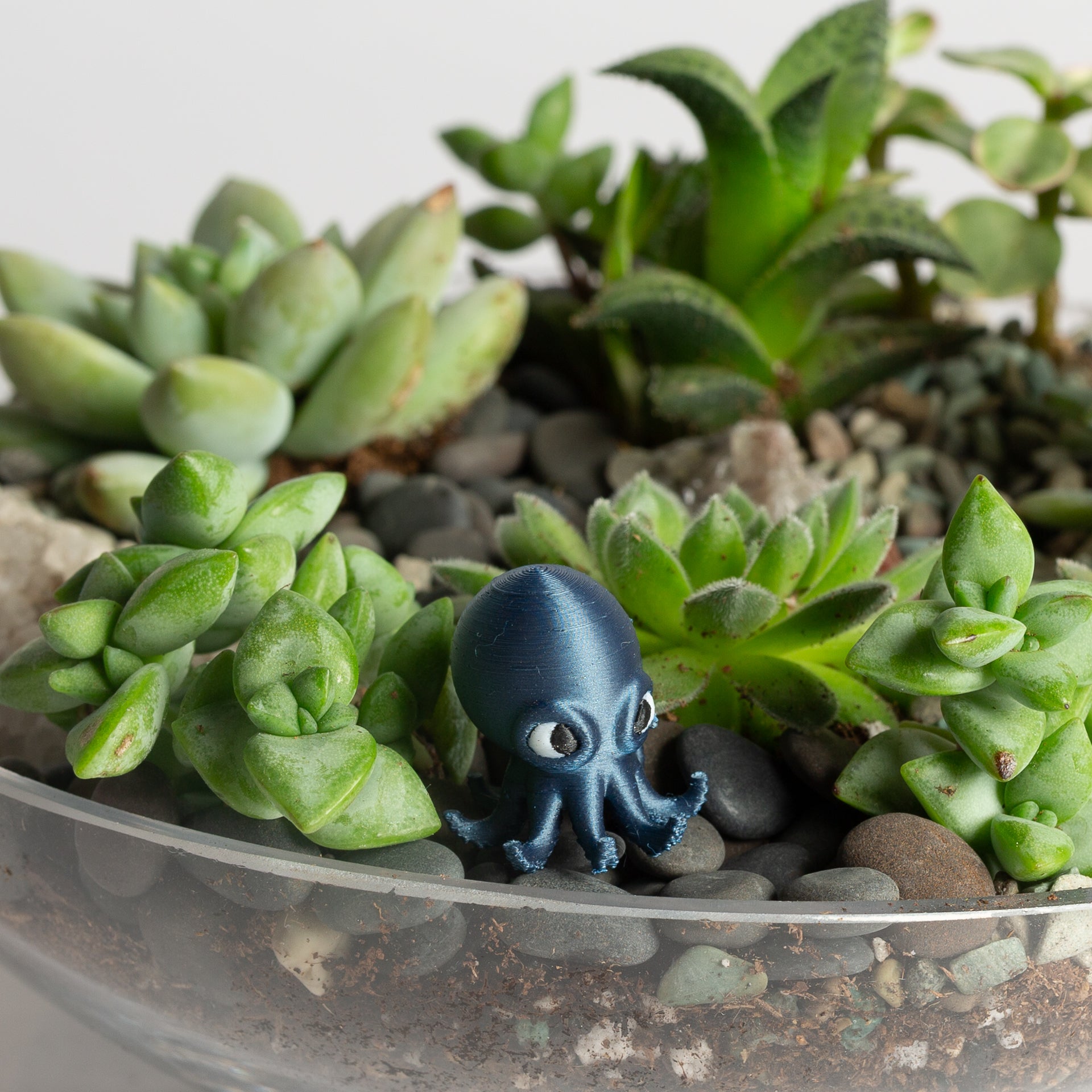Gorp the Octopus - Urban Sprouts