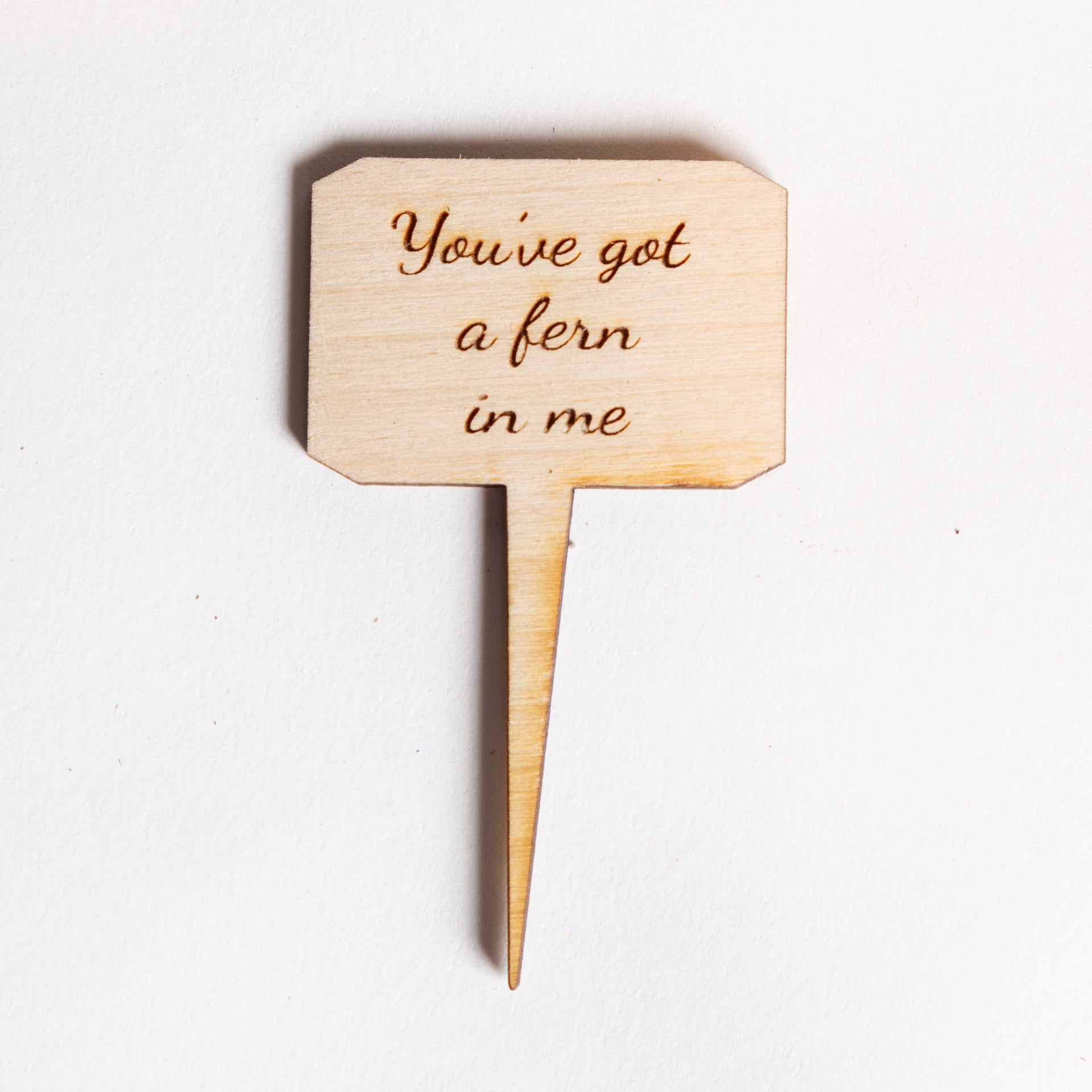 Mini Sign - You've got a fern in me - Urban Sprouts