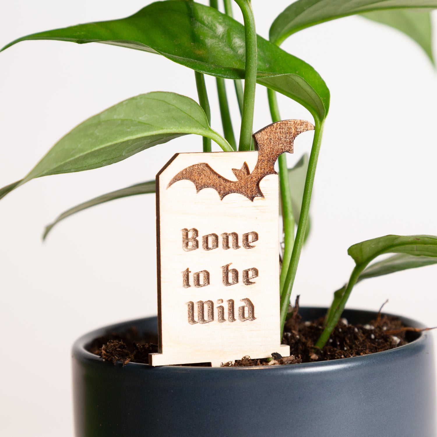 Mini Sign - Bone to be Wild