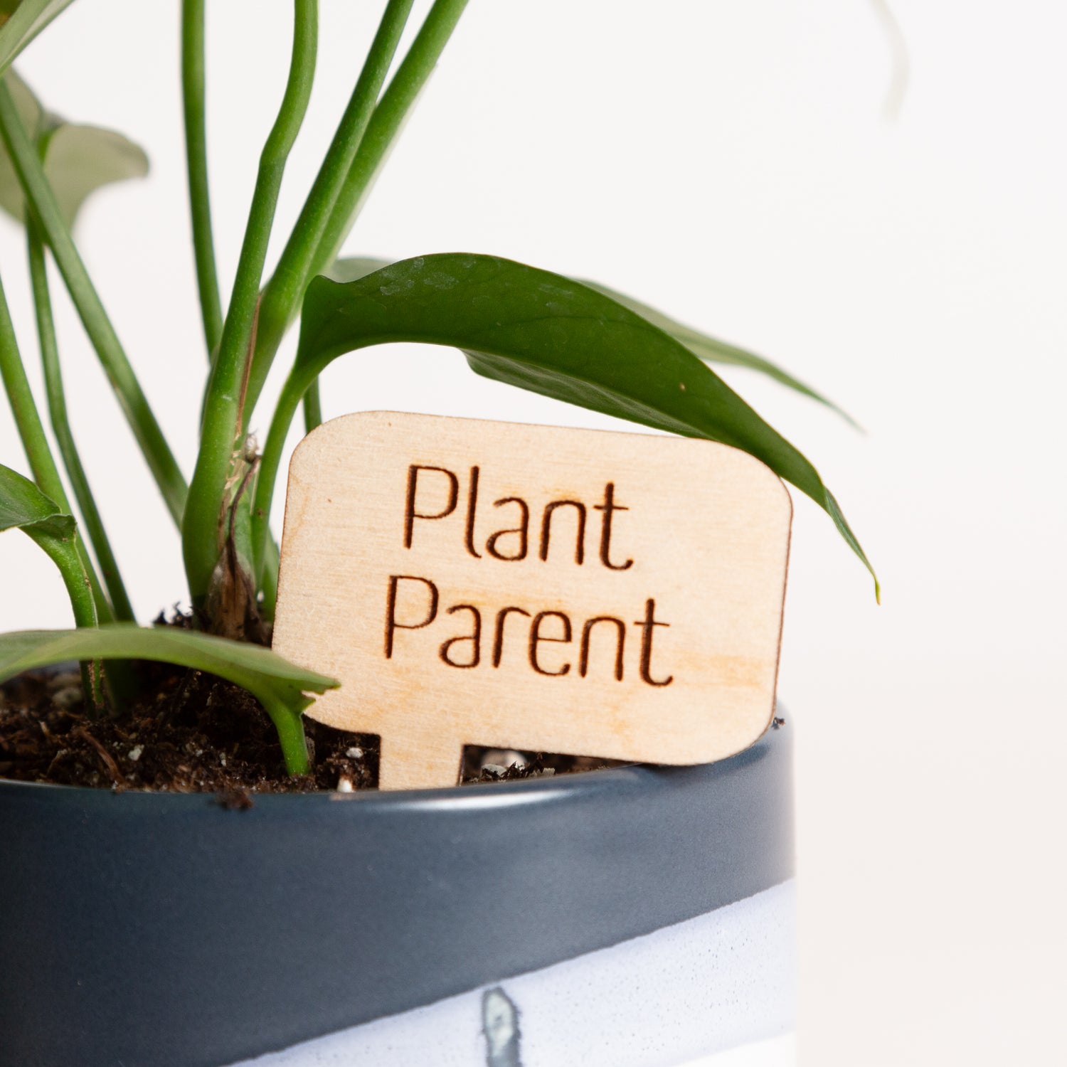 Mini Sign - Plant Parent