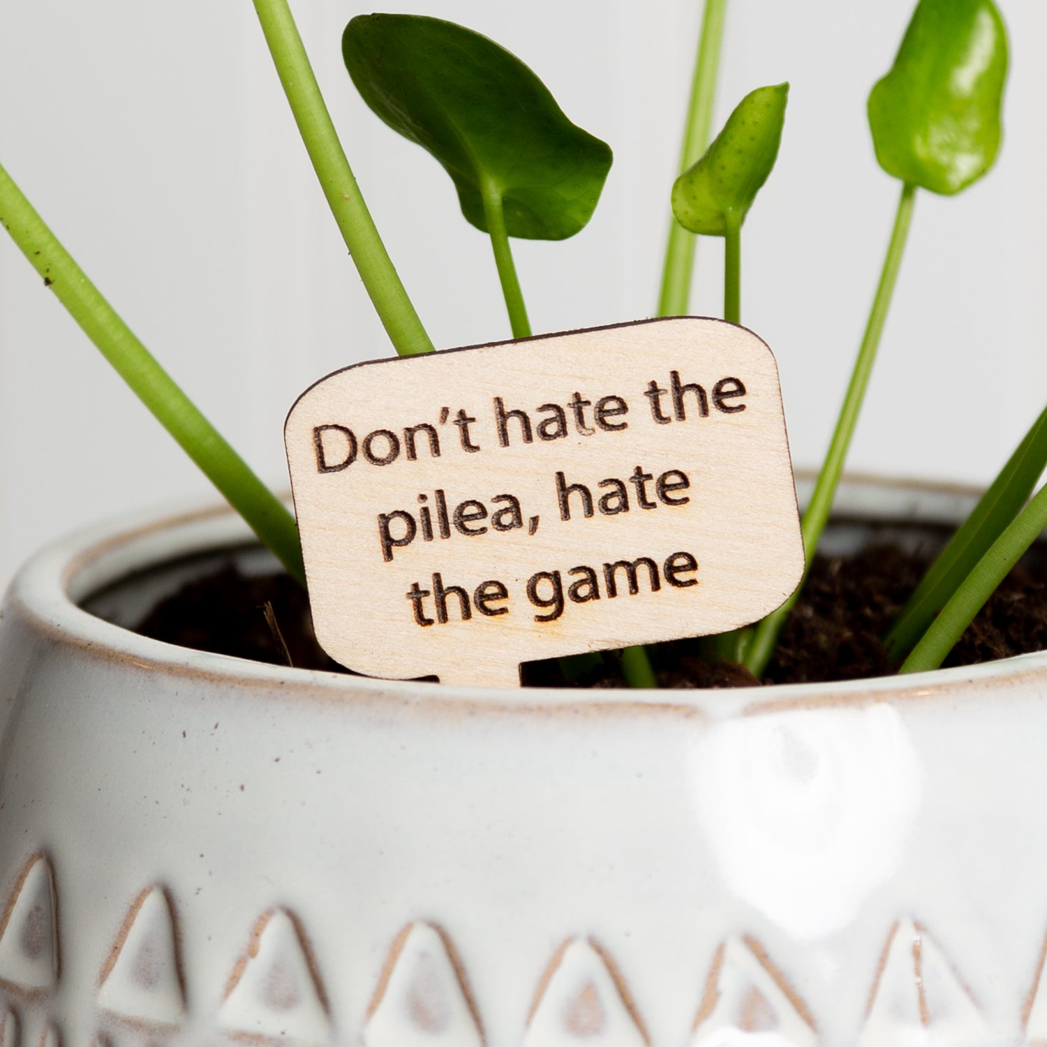 Mini Sign - Don't hate the pilea, hate the game