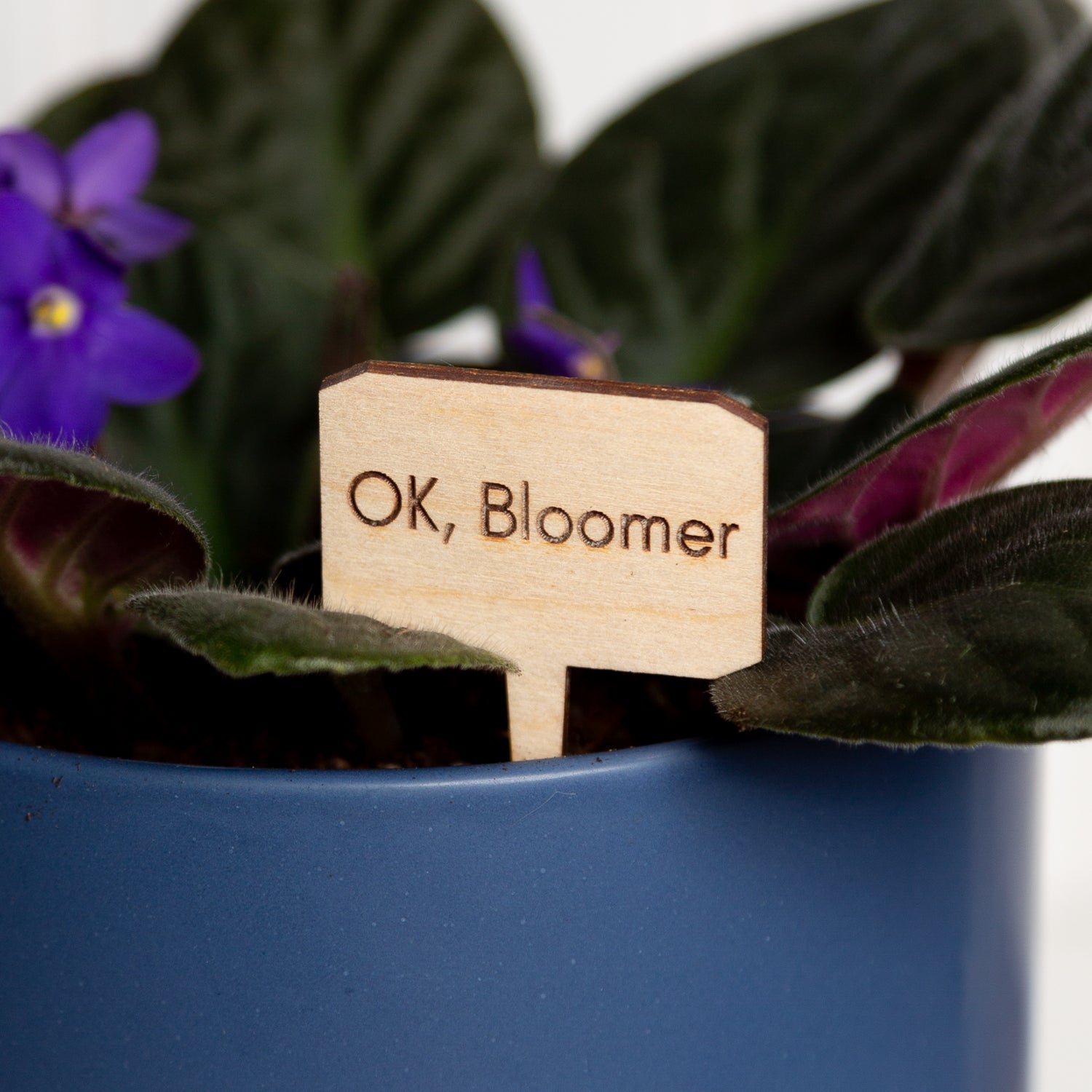 Mini Sign - Ok, Bloomer