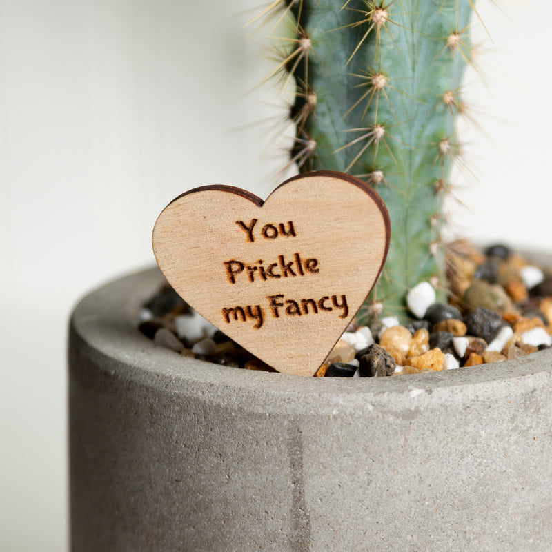 Mini Sign - You Prickle My Fancy