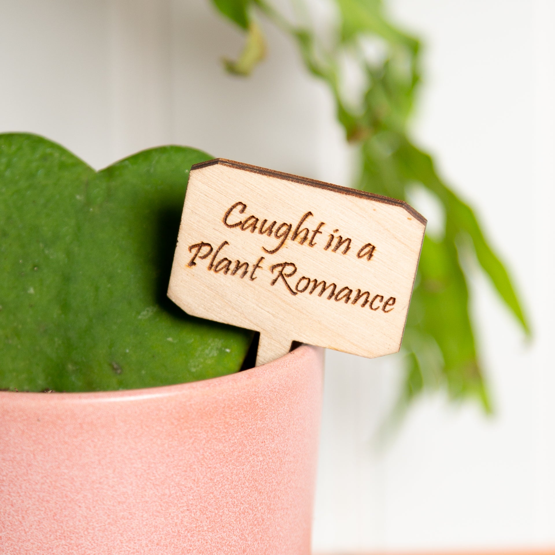 Mini Sign - Caught in a plant romance - Urban Sprouts
