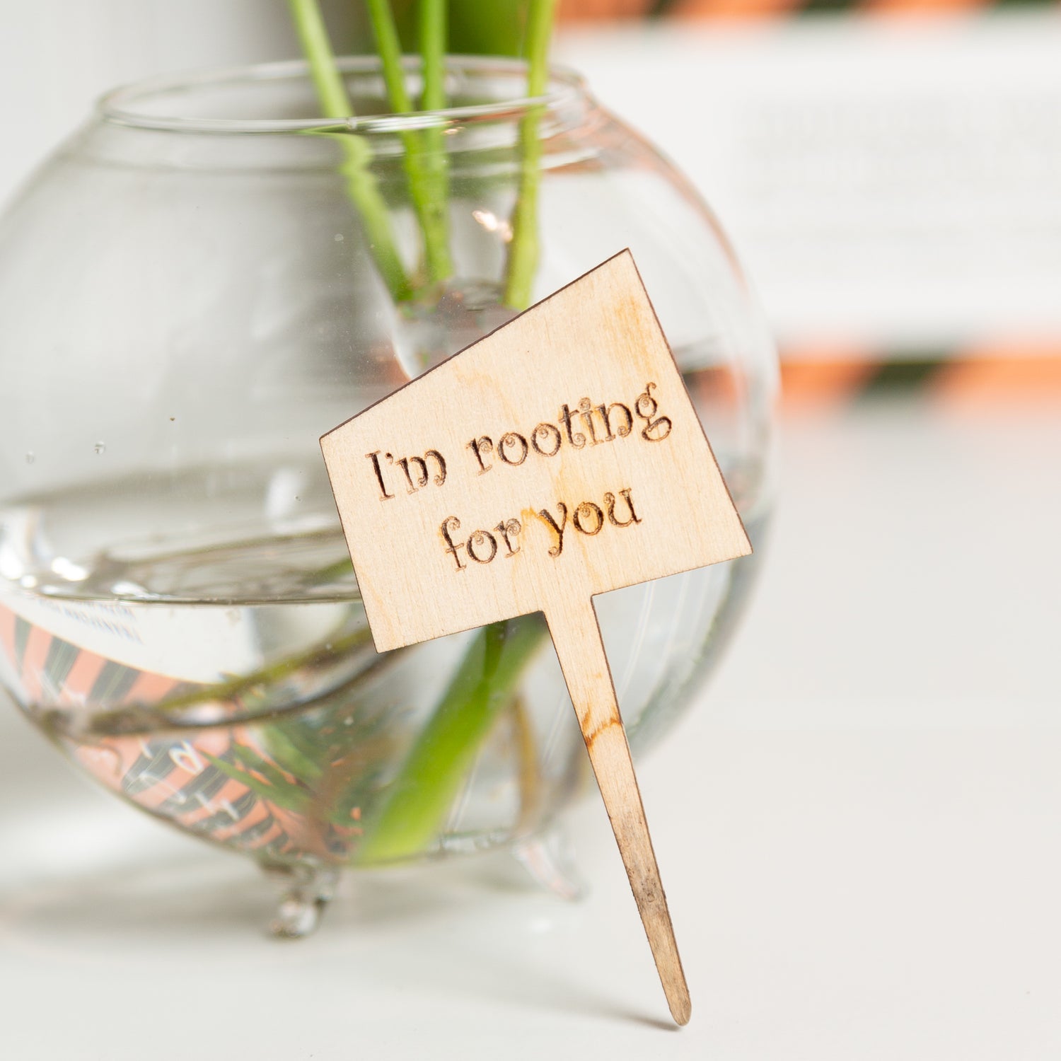 Mini Sign - I'm rooting for you