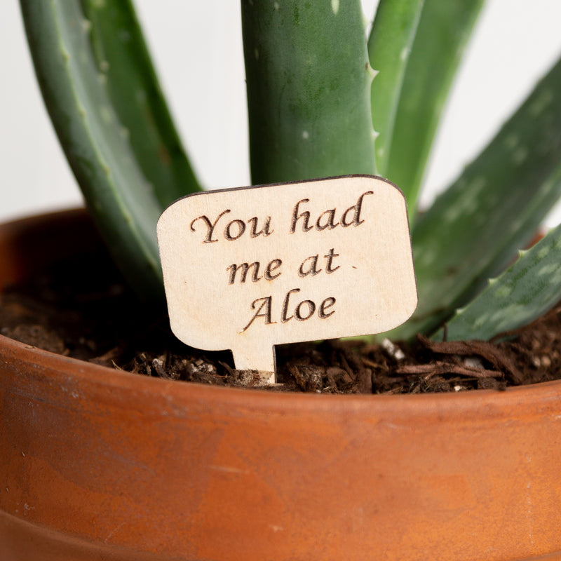 Mini Sign - You had me at Aloe