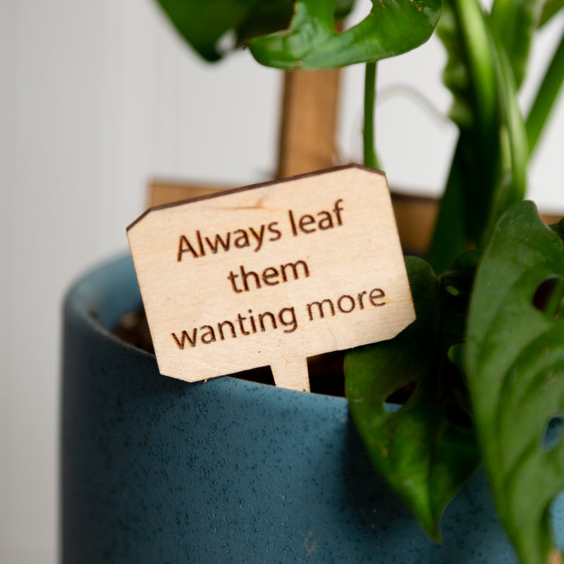 Mini Sign - Always Leaf Them Wanting More