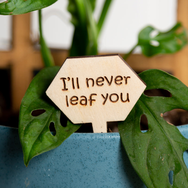 Mini Sign - I'll never leaf you