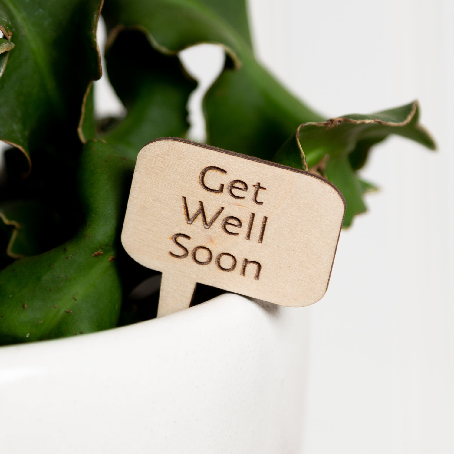 Mini Sign - Get well soon