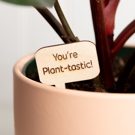 Mini Sign - You're plant-tastic