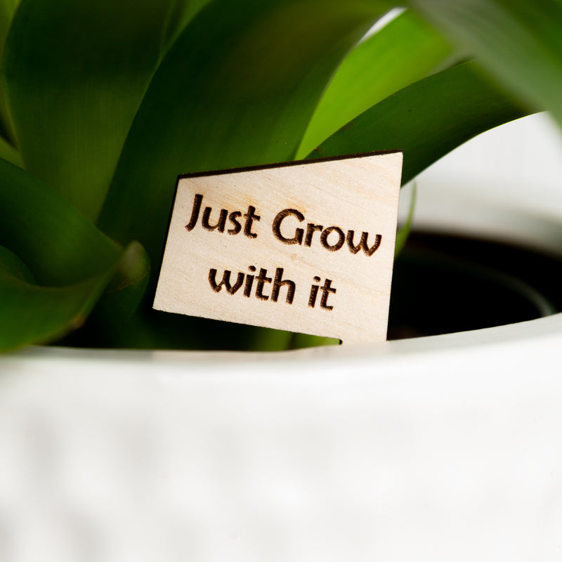 Mini Sign - Just grow with it