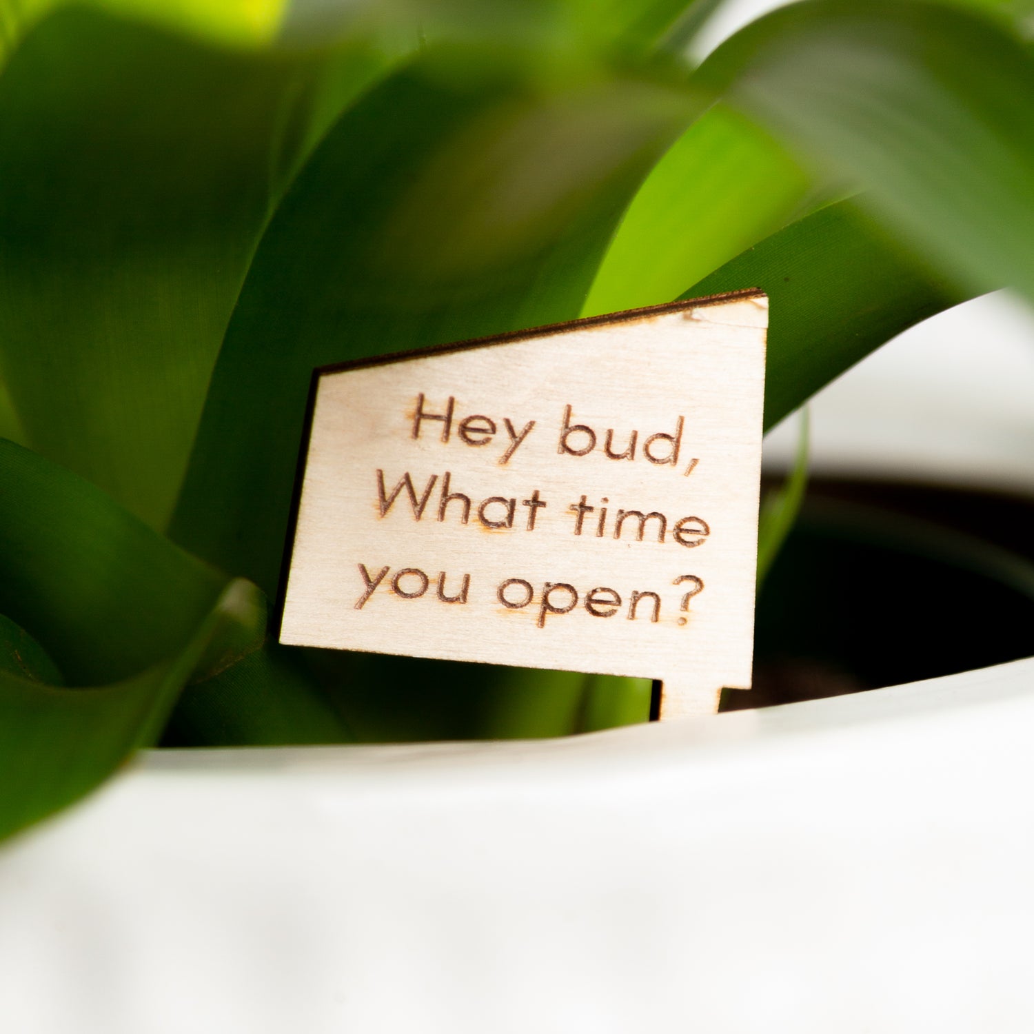 Mini Sign - Hey bud, what time you open?