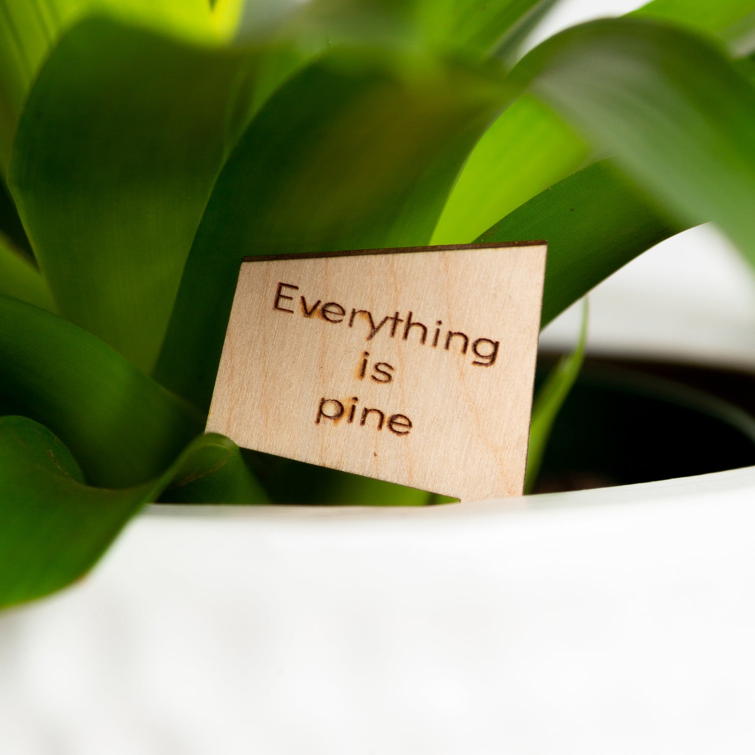 Mini Sign - Everything is Pine