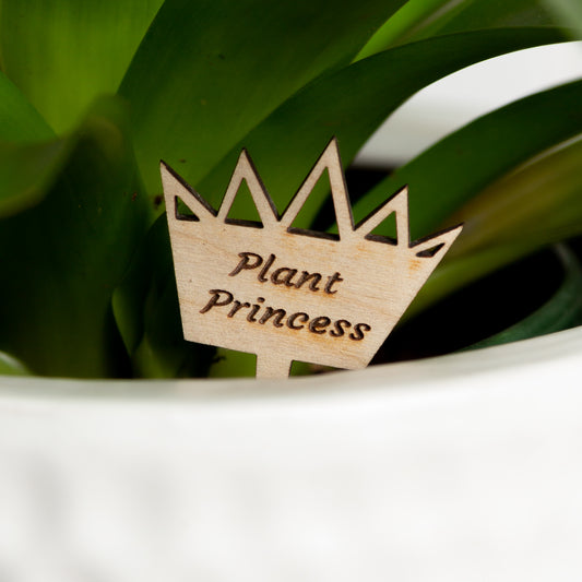 Mini Sign - Plant Princess