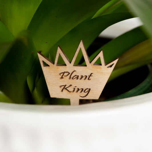 Mini Sign - Plant King