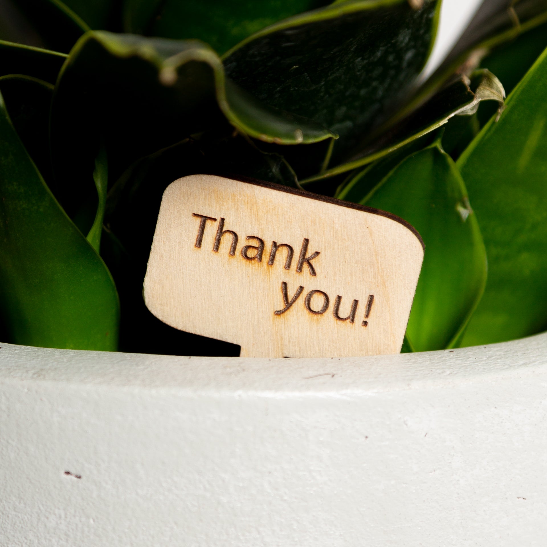 Mini Sign - Thank You - Urban Sprouts