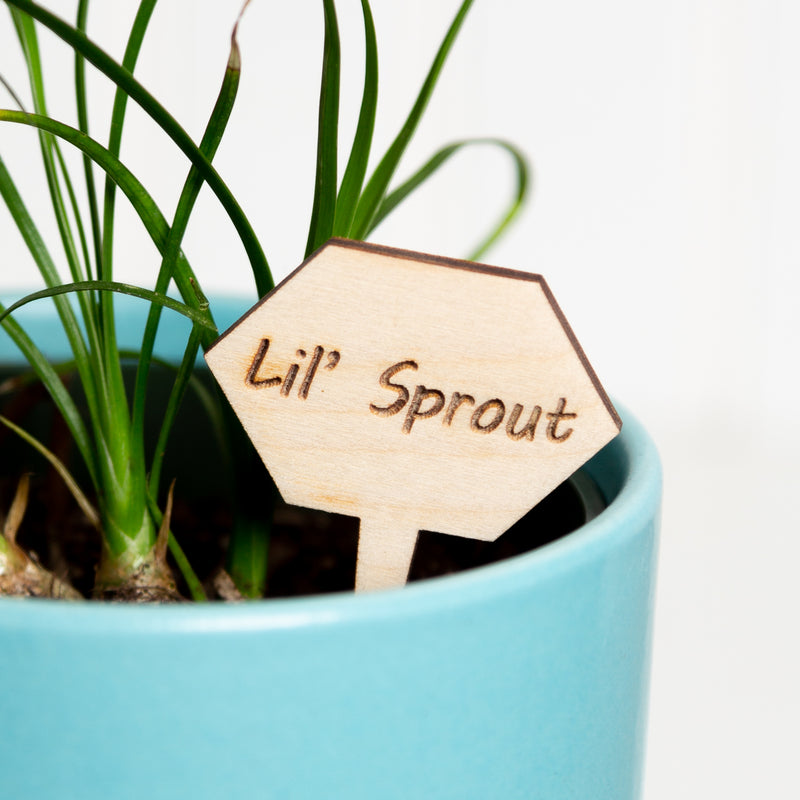 Mini Sign - Lil Sprout