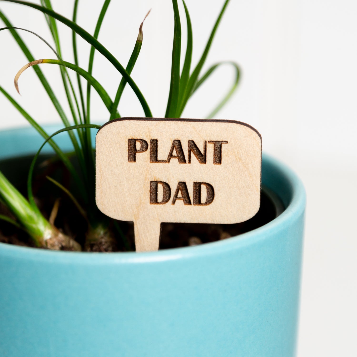 Mini Sign - Plant Dad