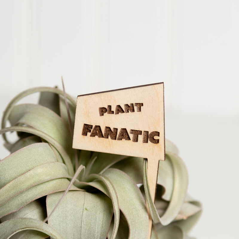 Mini Sign -Plant Fanatic