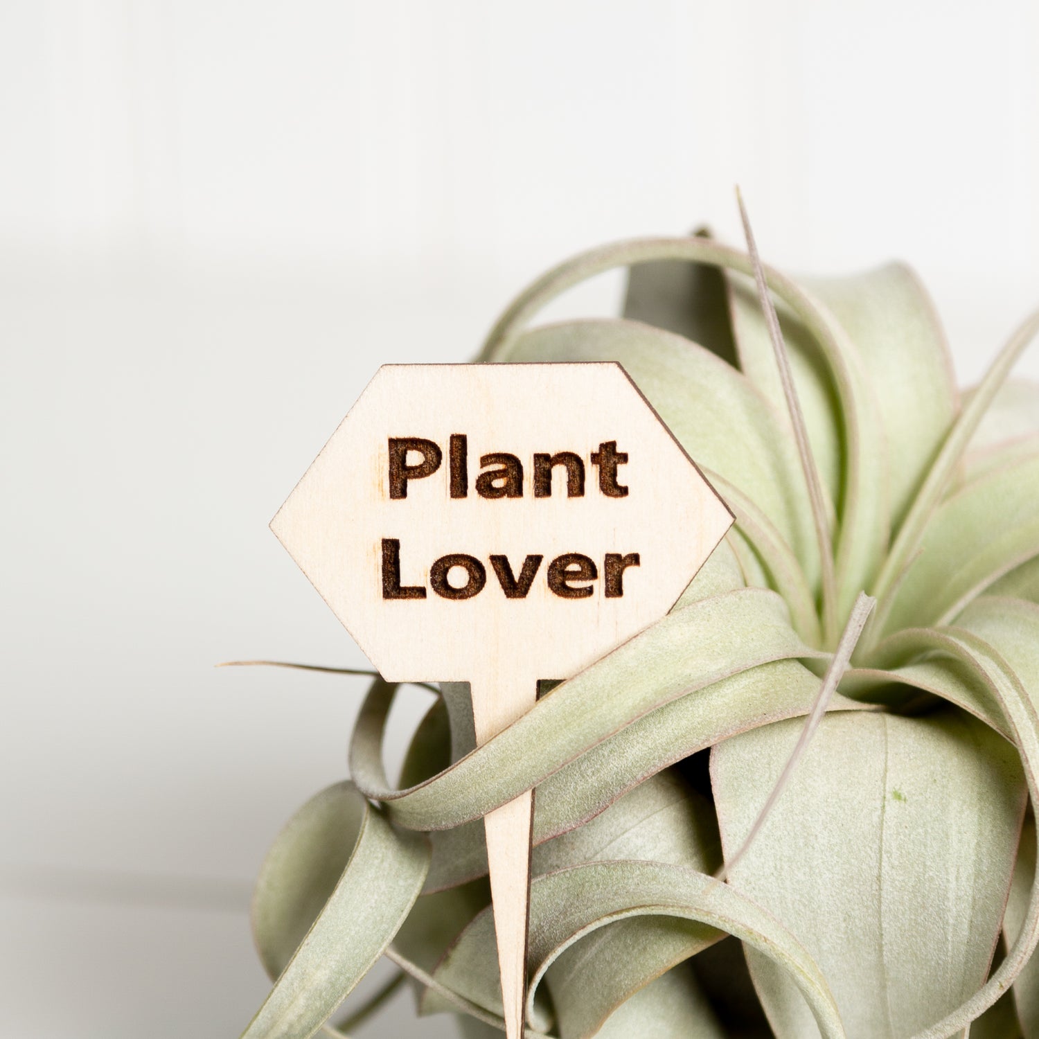 Mini Sign - Plant Lover