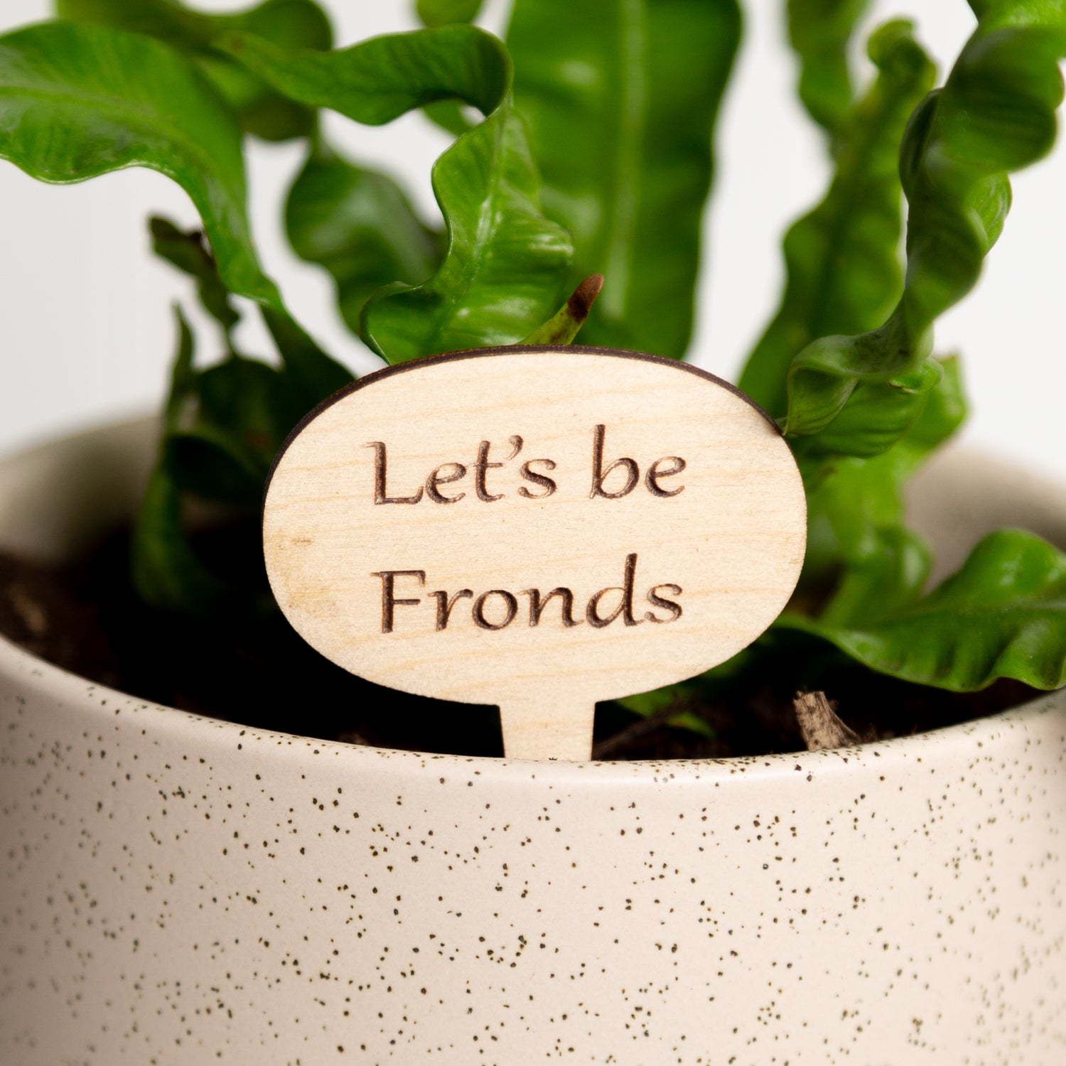 Mini Sign - Let's be fronds