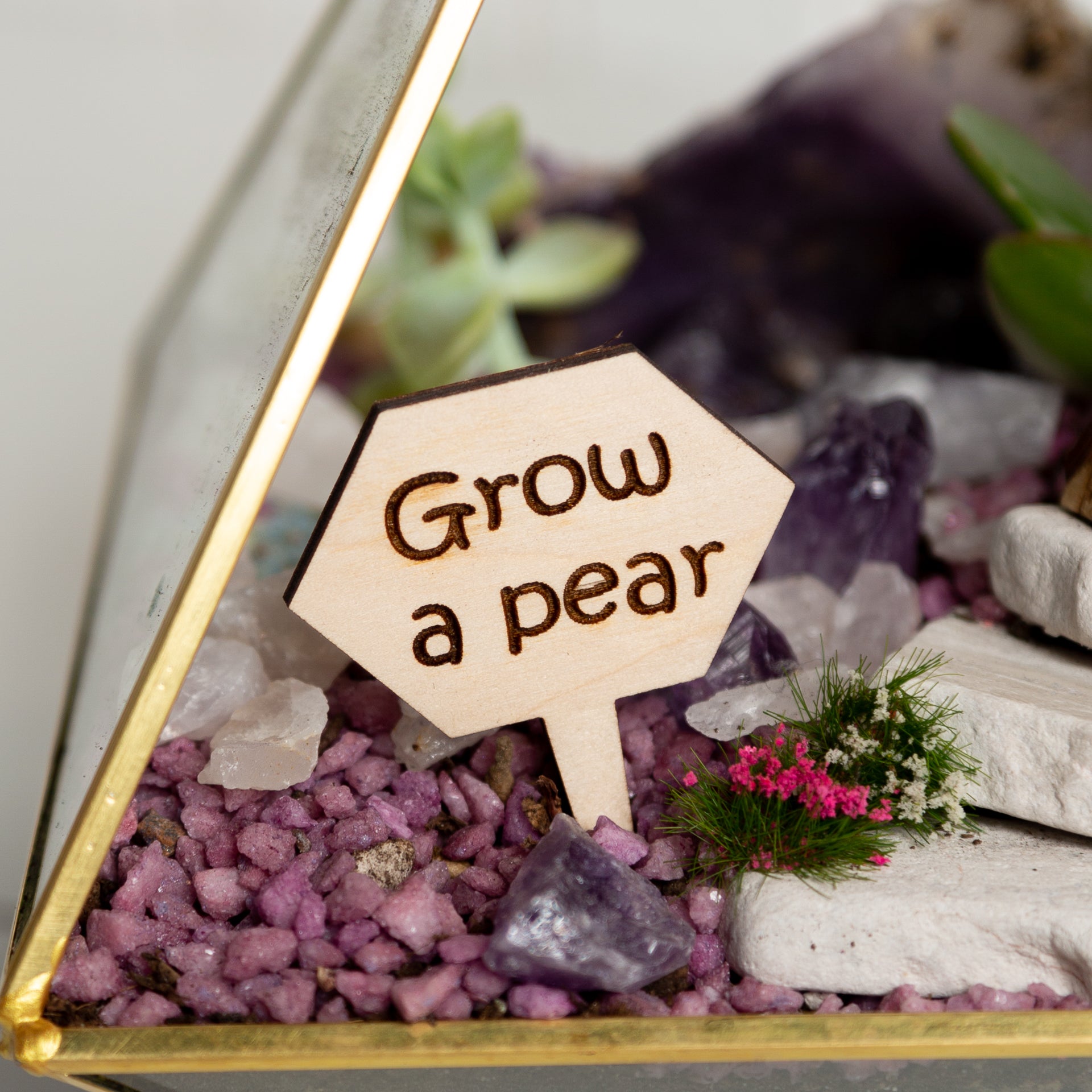 Mini Sign - Grow a pear - Urban Sprouts