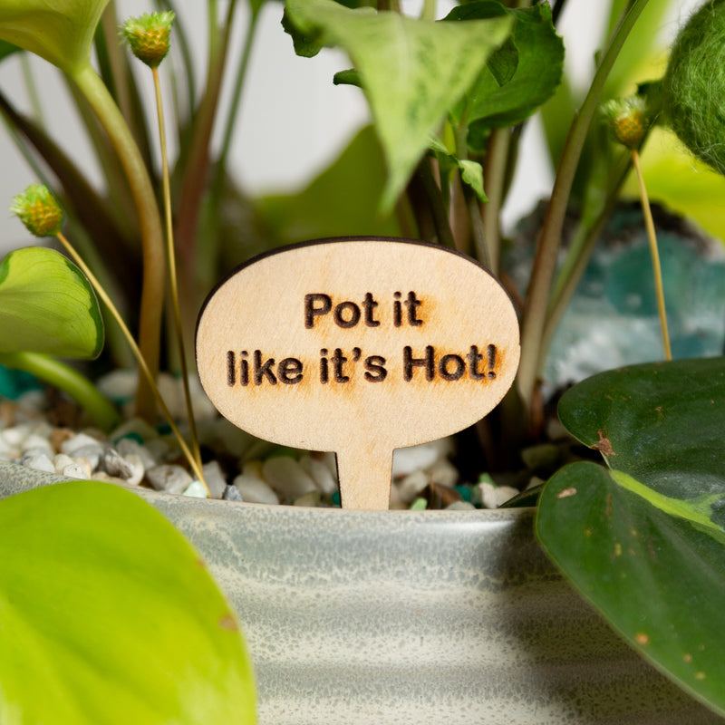 Mini Sign - Pot it like its hot