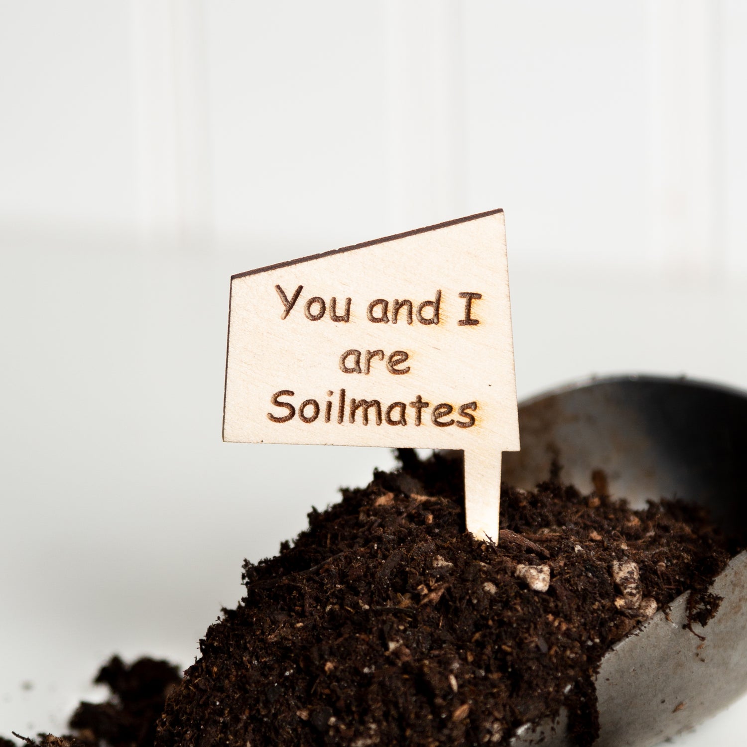 Mini Sign - You and I are soilmates