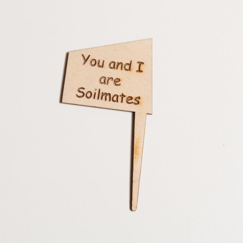 Mini Sign - You and I are soilmates