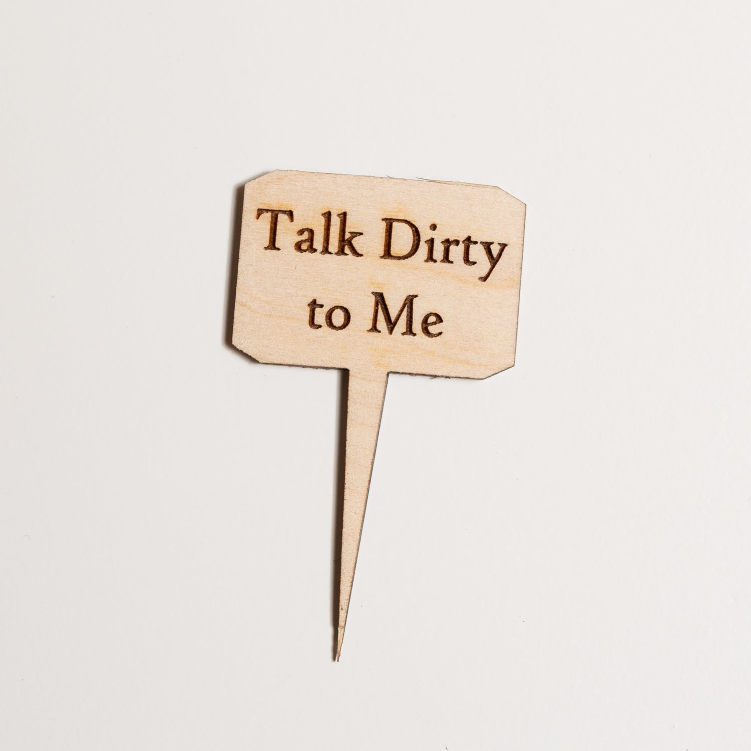 Mini Sign - Talk Dirty to me