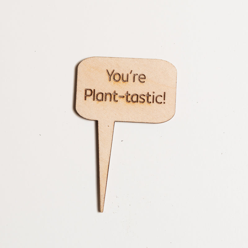 Mini Sign - You're plant-tastic