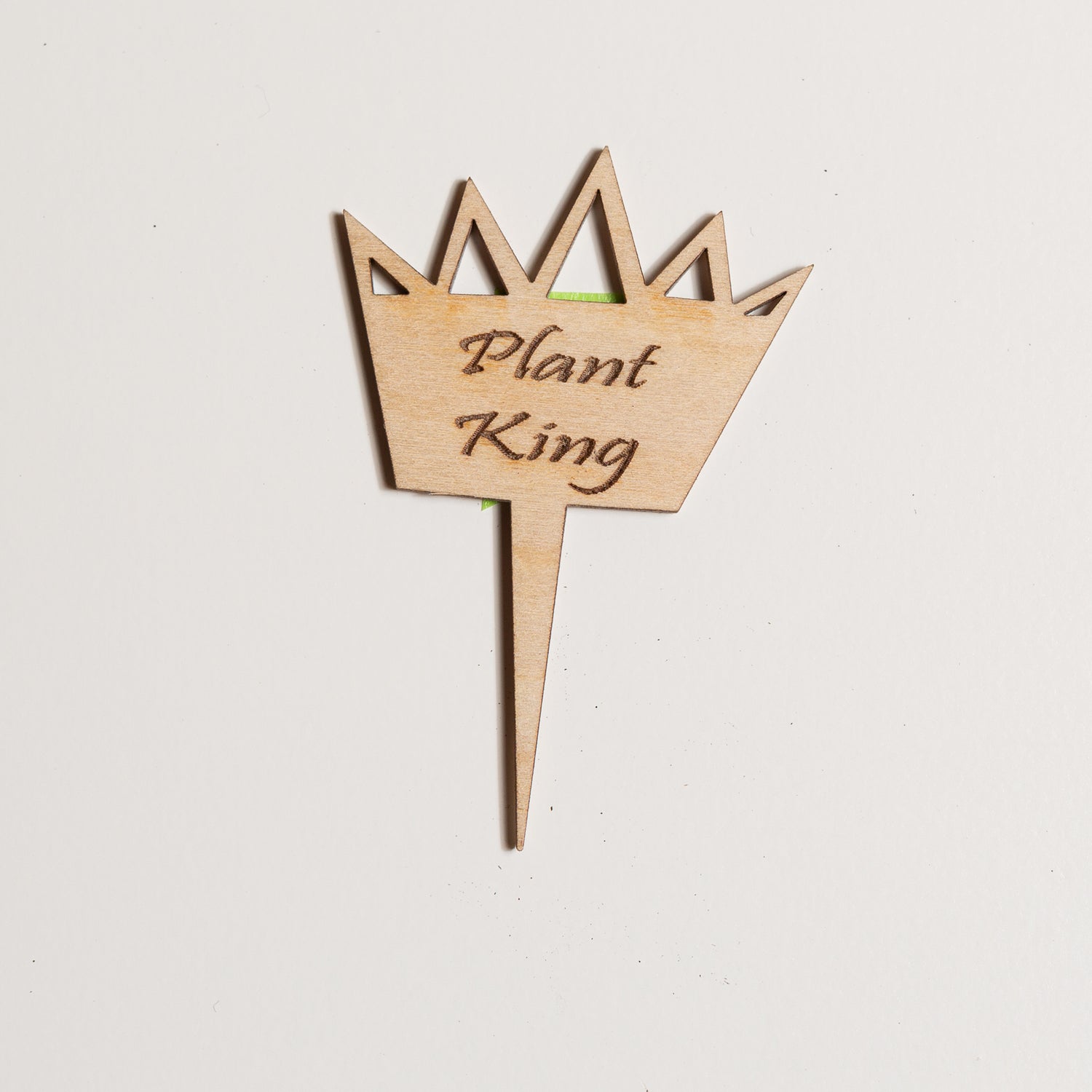 Mini Sign - Plant King