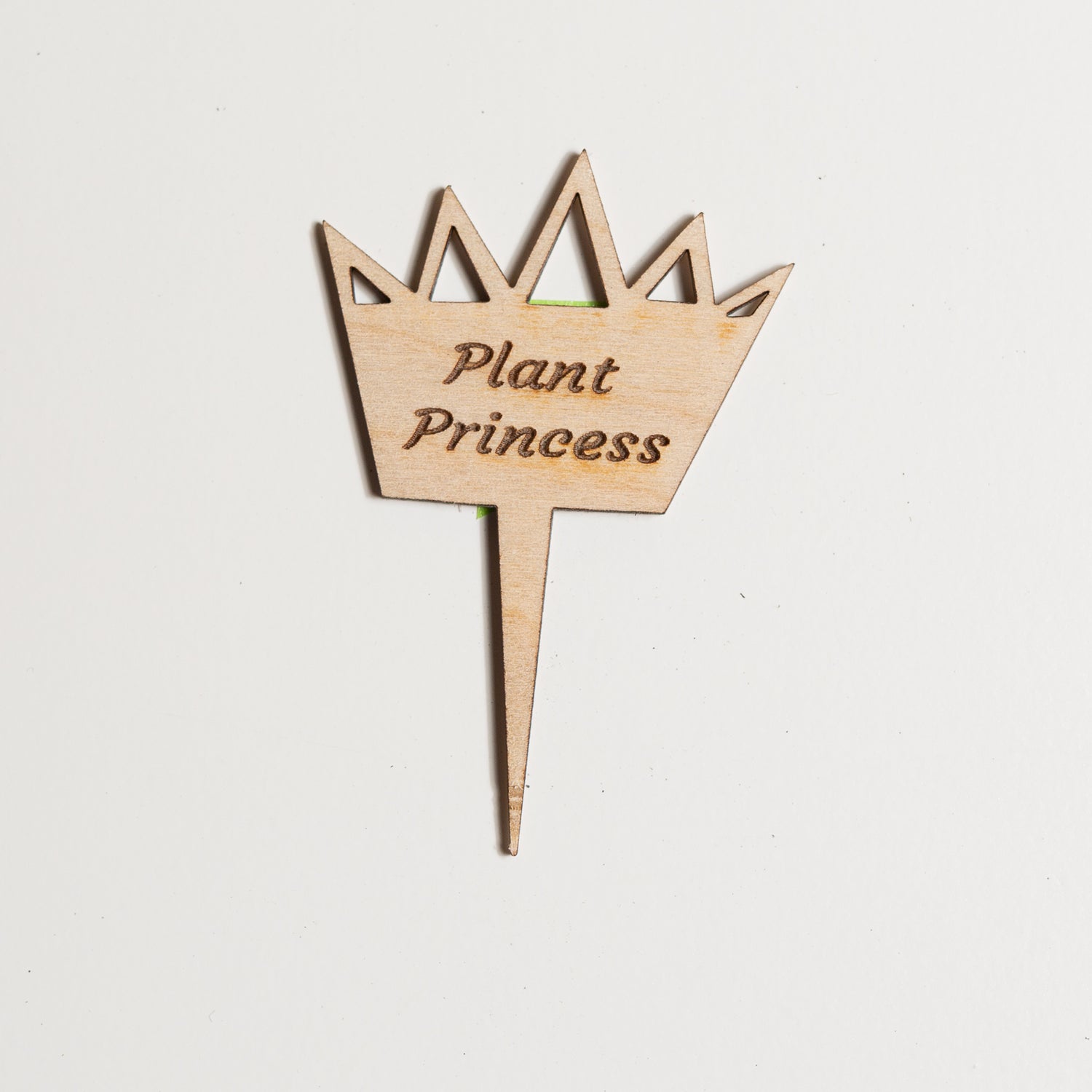 Mini Sign - Plant Princess