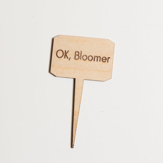 Mini Sign - Ok, Bloomer