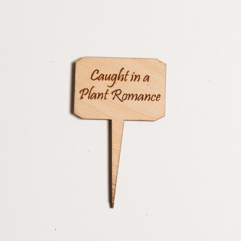 Mini Sign - Caught in a plant romance