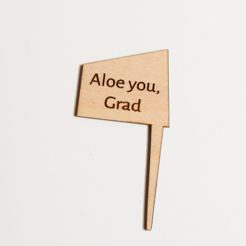 Mini Sign - Aloe you, Grad