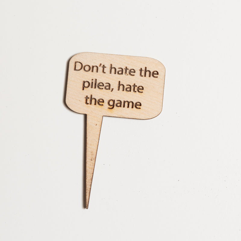 Mini Sign - Don't hate the pilea, hate the game