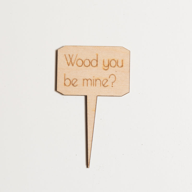 Mini Sign - Wood You be Mine