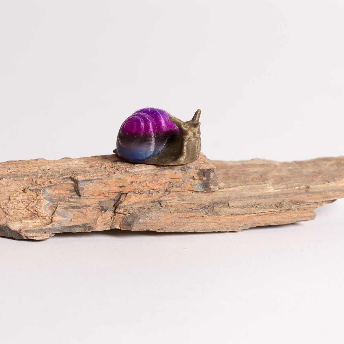 Galaxy Snail