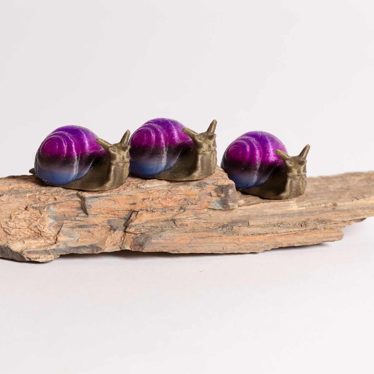 Galaxy Snail