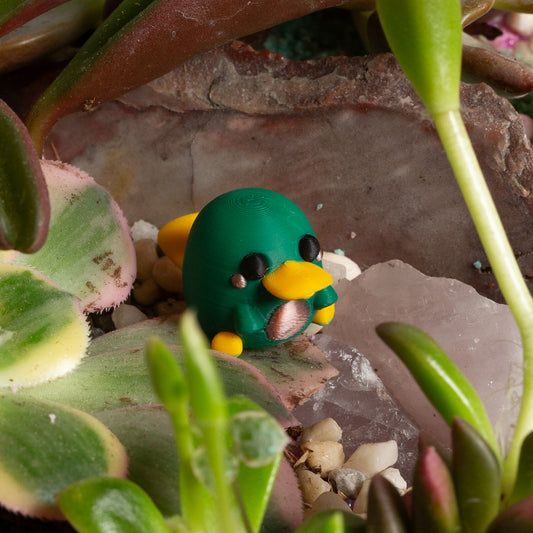 Urban prints "Penelope the Platypus" - Urban Sprouts