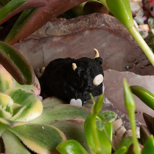 Hillduh the Highland Cow - Urban Sprouts