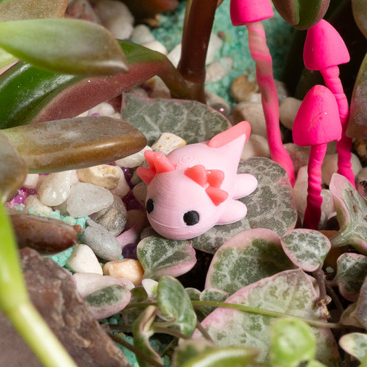 Urban prints "Jeff the Axolotl" - Urban Sprouts