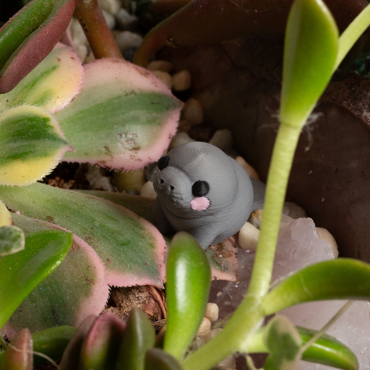 Swamp Princess Manatee - Urban Sprouts