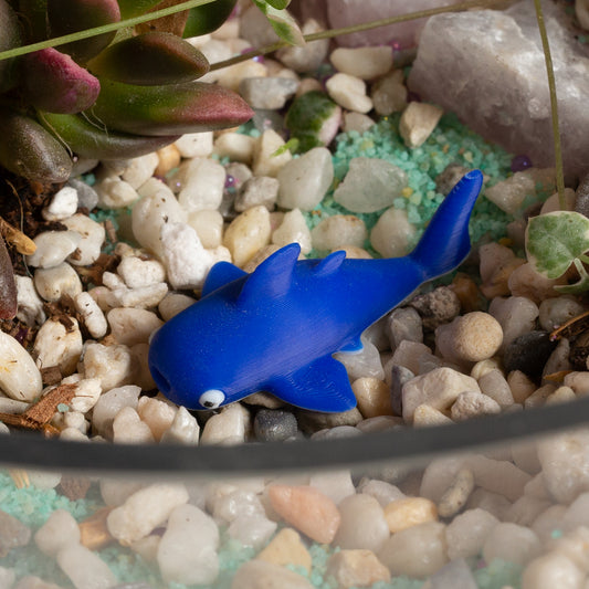 Wally the Whale Shark - Urban Sprouts