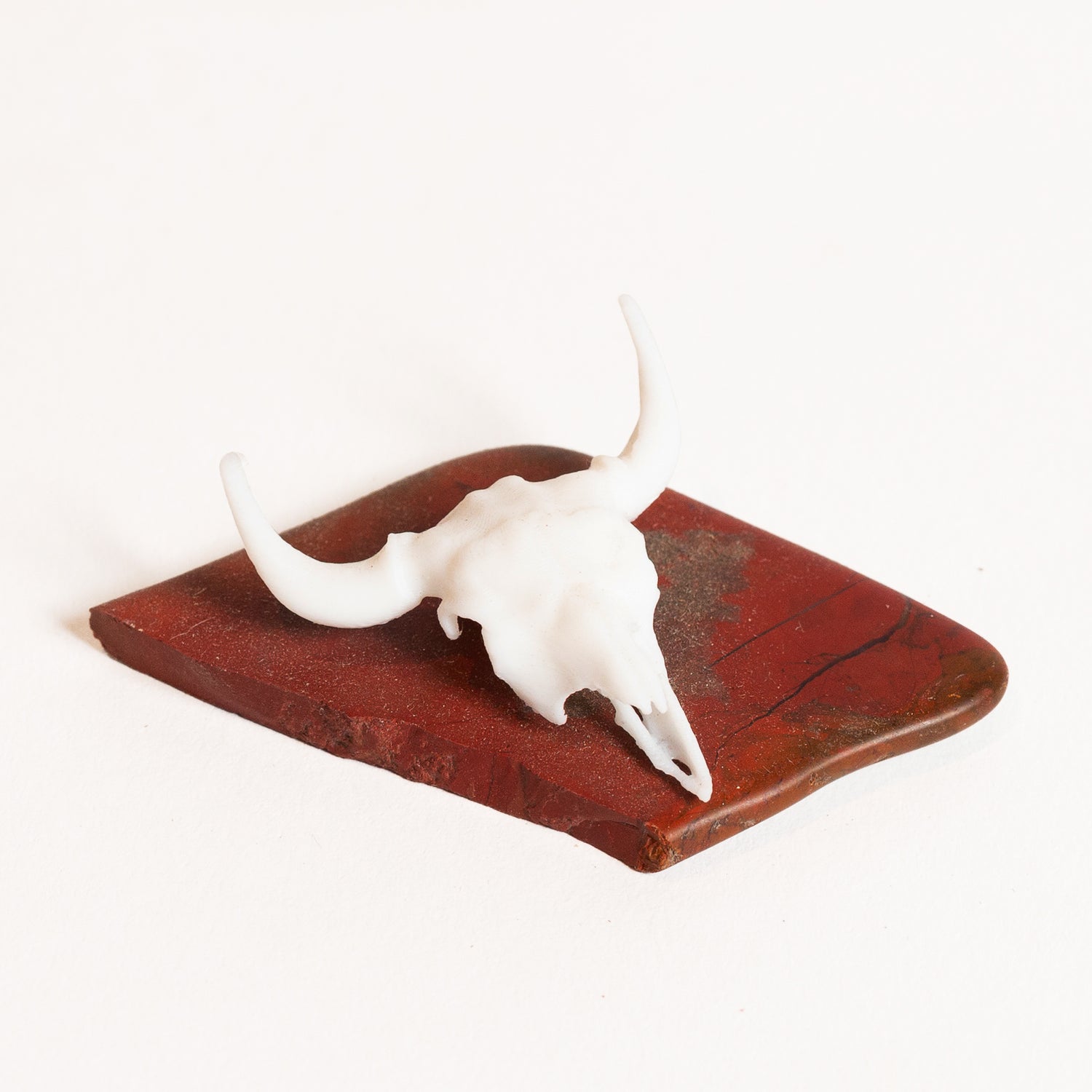 Bull Skull - Formerly Fred - Urban Sprouts