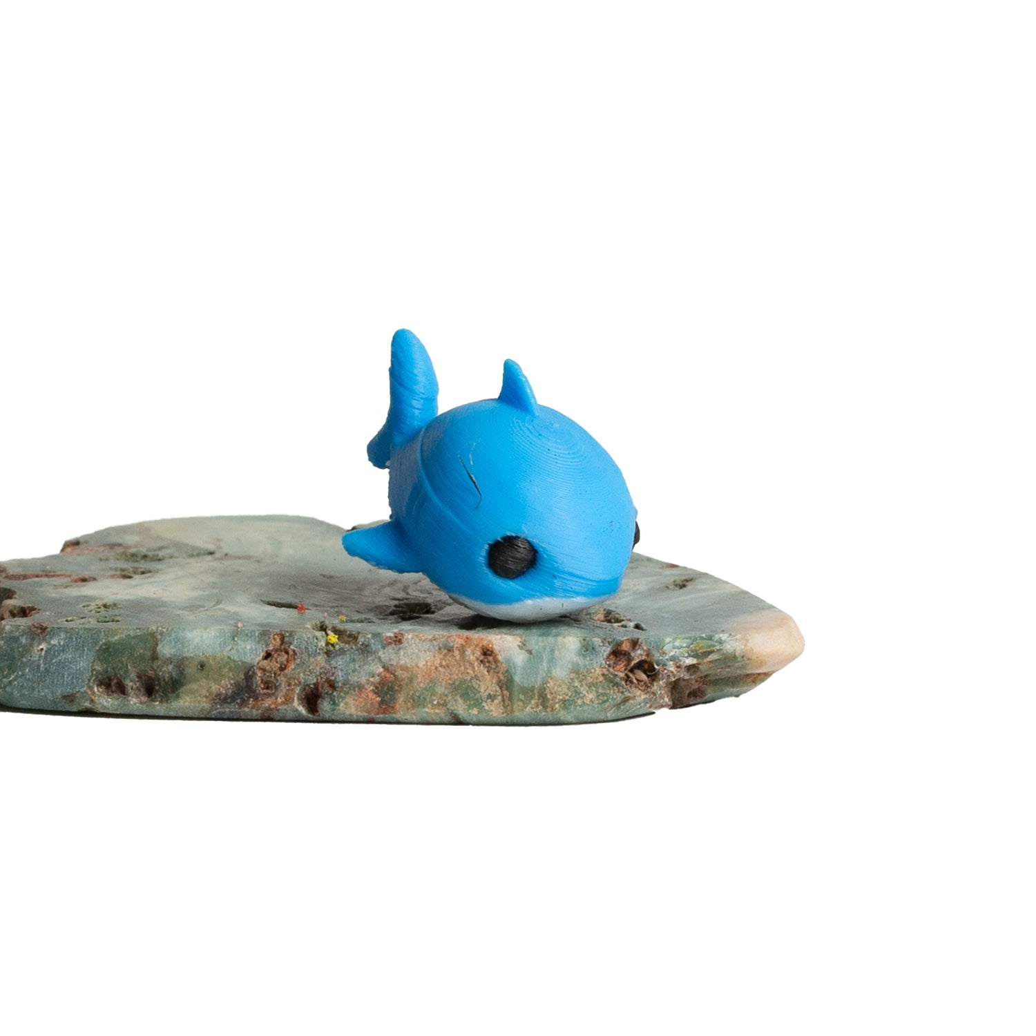 Urban prints "Splashy the shark" - Urban Sprouts
